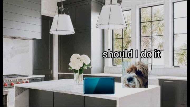 Dog thinking about if he should mod his 3ds